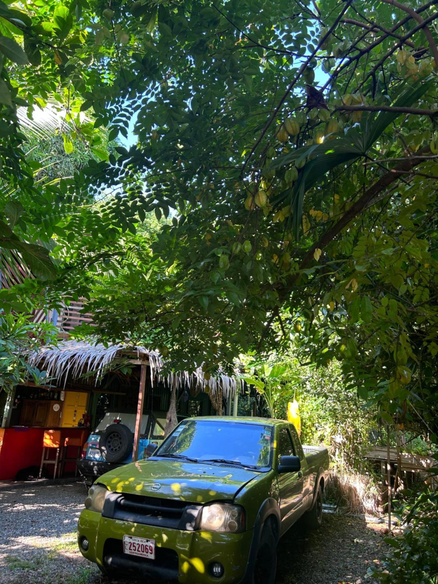 מלון קאוויטה Organico Punta Riel מראה חיצוני תמונה